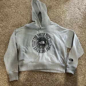The North Face Expedition Graphic hoodie